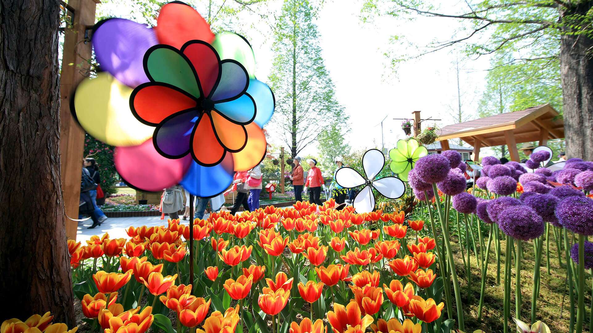 International Flower Festival 2023 Dates, History, Major Attractions